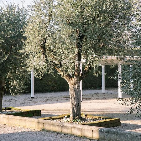 White Angel Apartment Castelnuovo del Garda Exterior photo